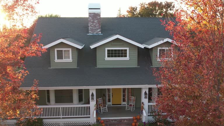 Best Chimney Flashing Repair  in Elk River, MN