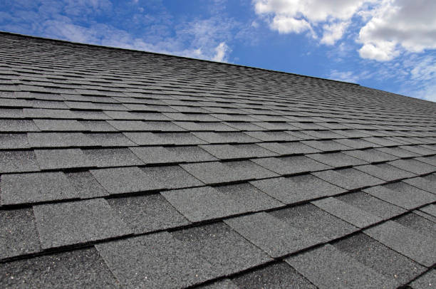 Best Storm Damage Roof Repair  in Elk River, MN