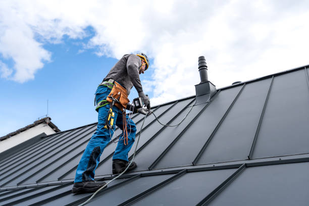 Best Roof Maintenance and Cleaning  in Elk River, MN